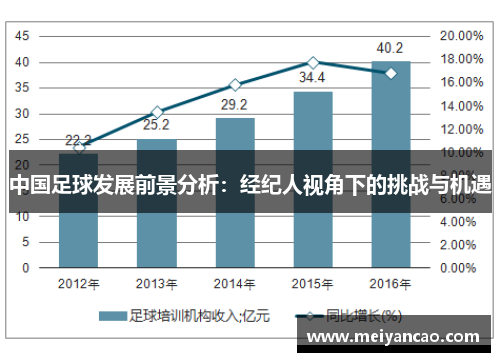 中国足球发展前景分析：经纪人视角下的挑战与机遇